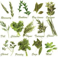 Staying Healthy With Aromatherapy