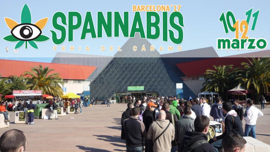 The 2017 Spannabis Best Product Award Goes to DaVinci IQ Vaporizer